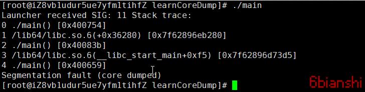 代码coredump